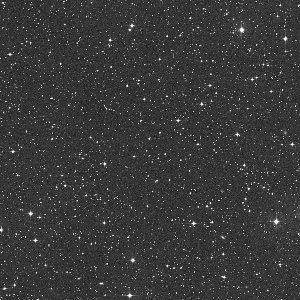499P/Catalina