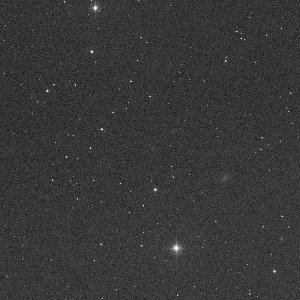 51P-A/Harrington