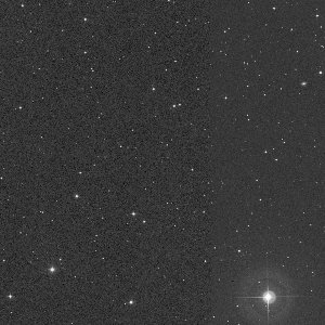 401P/McNaught