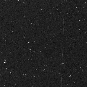 446P/McNaught
