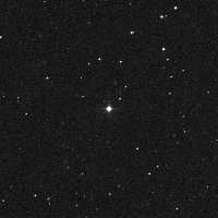HIP 104