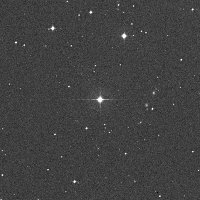 HIP 135