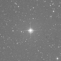 HIP 137