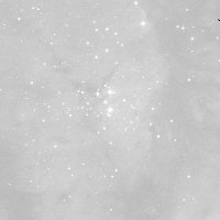 HIP 172