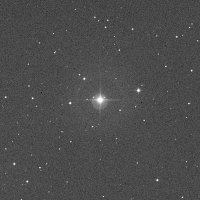 HIP 31