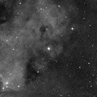 HIP 40